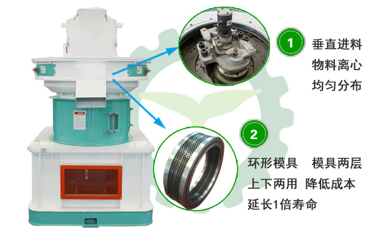 生物质91免费视频网站图片