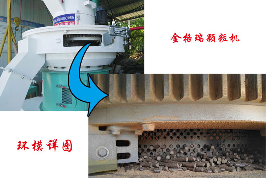 91免费视频网站