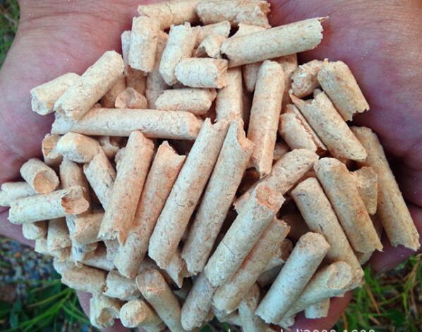 生物质91免费视频网站械设备