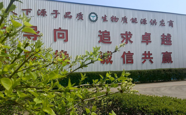 91免费黄色下载入口91免费视频网站厂家