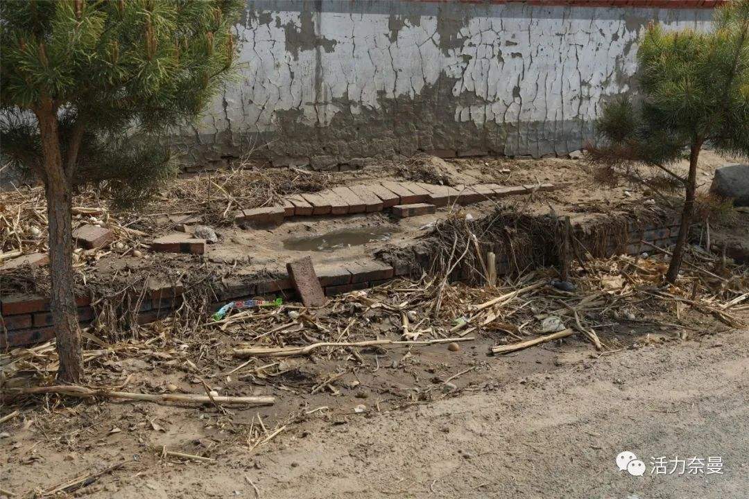 生物质91免费视频网站械