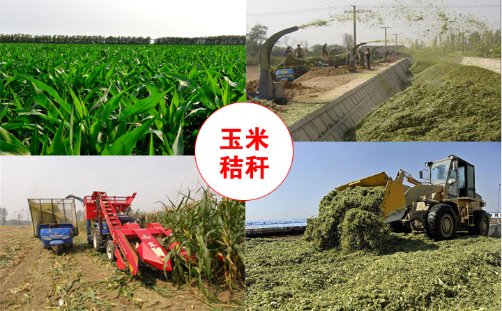 生物质91免费视频网站械