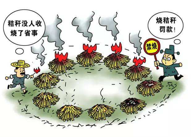 生物质91免费视频网站械