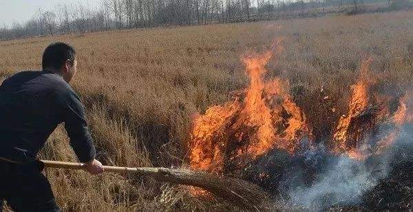 生物质91免费视频网站械