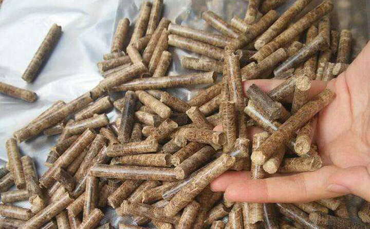 木屑91免费视频网站加工的水葫芦生物质颗粒