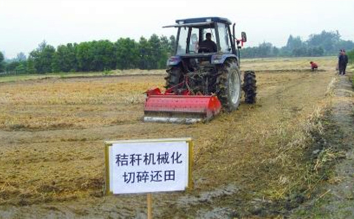 秸秆还田让“地越种越肥、产值越来越高”