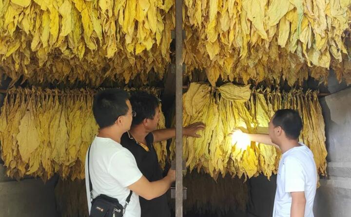 福泉：生物质颗粒智能化烘烤 助力烤烟产业提质增效