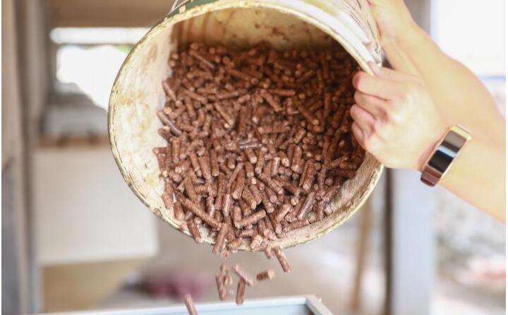 生物质91免费视频网站的燃料