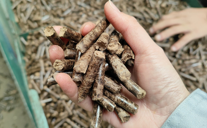 生物质91免费视频网站加工的颗粒燃料
