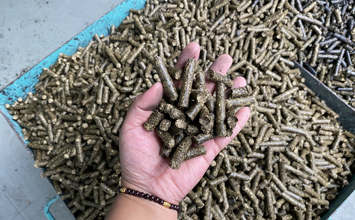 生物质91免费视频网站加工的燃料