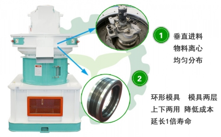生物质91免费视频网站投资前景及对能源可持续发展的作用