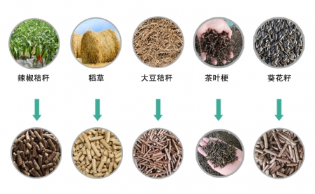生物质91免费视频网站械推动生物质能源发展