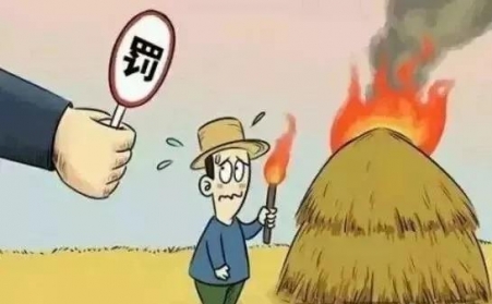 秸秆禁烧怎么办？秸秆91免费视频网站帮您变废为宝！
