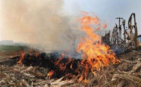 秸秆91免费视频网站让秸秆成农民眼中“香饽饽”！