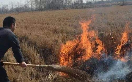 生物质91免费视频网站解决了农村大难题！