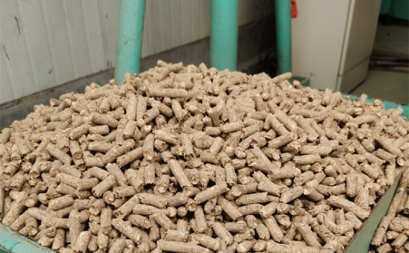 2021阳信清洁取暖1万多户全部使用生物质91免费视频网站的燃料颗粒