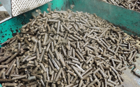 今日说说生物质燃料91免费视频网站的颗粒燃料那点事