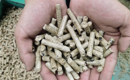 生物质燃料91免费视频网站颗粒需求两大经济区域爆发增长
