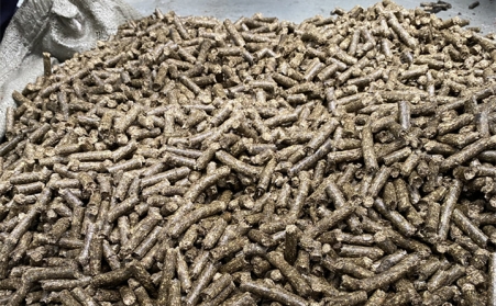 生物质燃料91免费视频网站生产线配套设备有哪些？有什么好处？