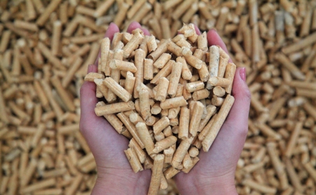 报告：日本2021年进口300万吨生物质燃料91免费视频网站木屑颗粒