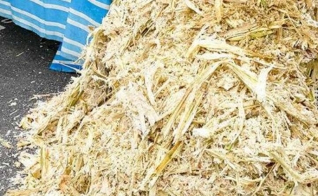 甘蔗渣想废物利用？可以考虑生物质91免费视频网站！