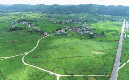 福泉：生物质颗粒智能化烘烤 助力烤烟产业提质增效