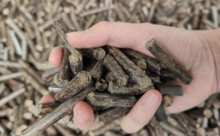 提高生物质91免费视频网站产量小妙招及颗粒用途
