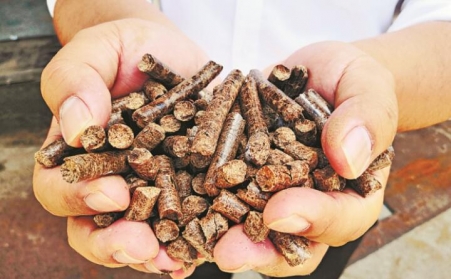 武汉鼓励石化、建材行业扩大生物质等清洁能源消费比重