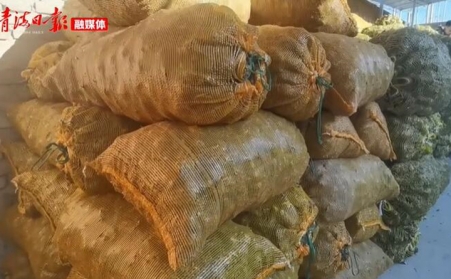 青海海东乐都：生物质颗粒燃料燃起乡村振兴新希望
