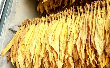 湖北省十堰市竹溪桃源乡：生物质燃料运输正当时