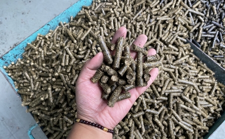 生物质91免费视频网站制作一吨生物颗粒的成本和利润受哪些因素影响？